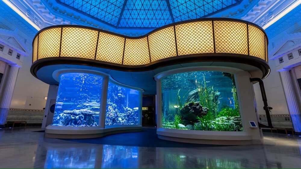 Indoor aquarium at Shedd Aquarium in Chicago