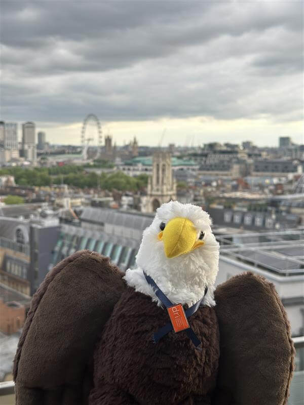 Eleanor enjoying the view of London