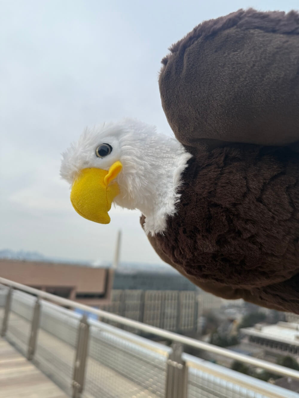 Eleanor the Eagle taking a selfie picture in Washington, D.C.