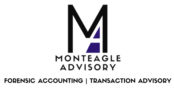 Monteagle Advisory Forensic Accounting, Transaction Advisory