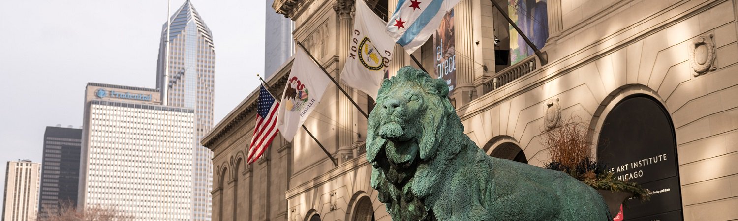 Lion statue Art Institute Chicago