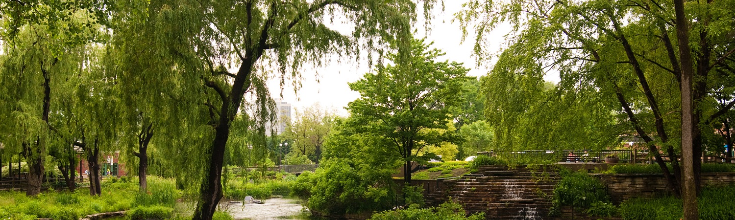 Landscape of Lincoln Park Zoo