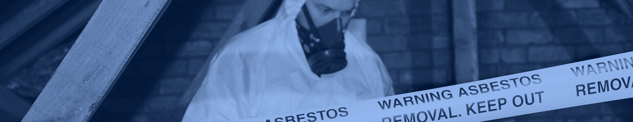 Asbestos Litigation main banner