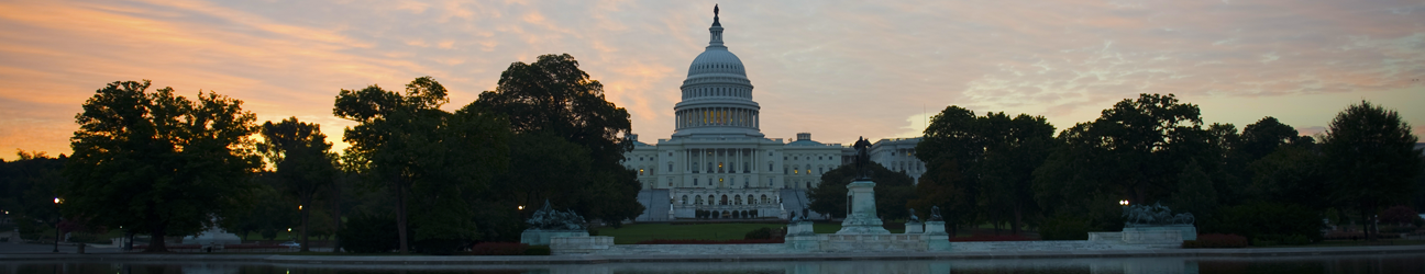 Issues and Advocacy Committee Leadership page CenterforLawAndPublicPolicy