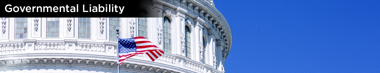 Governmental Liability