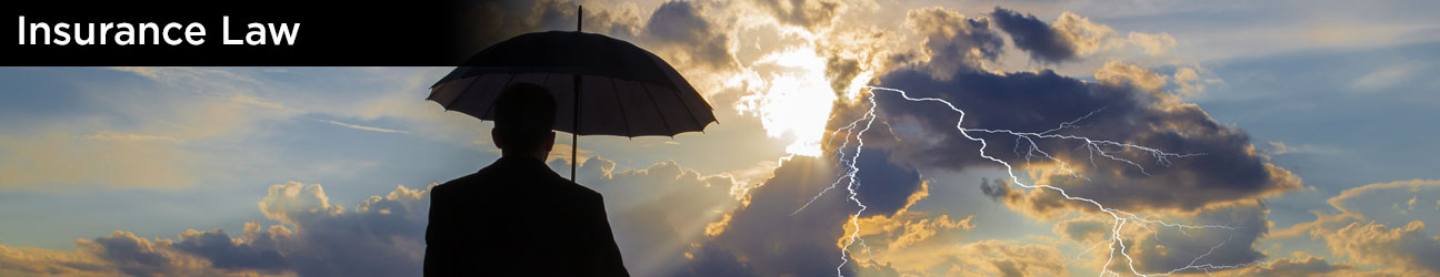 Insurance Law