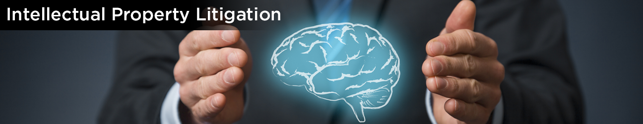 Intellectual Property Litigation