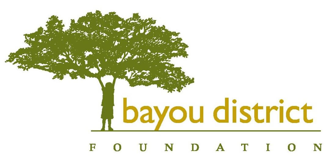 Bayou District Foundation logo