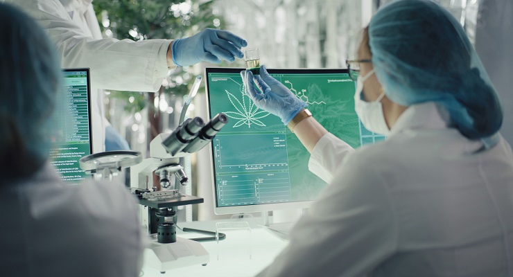 In a laboratory observing the effects of cannabis