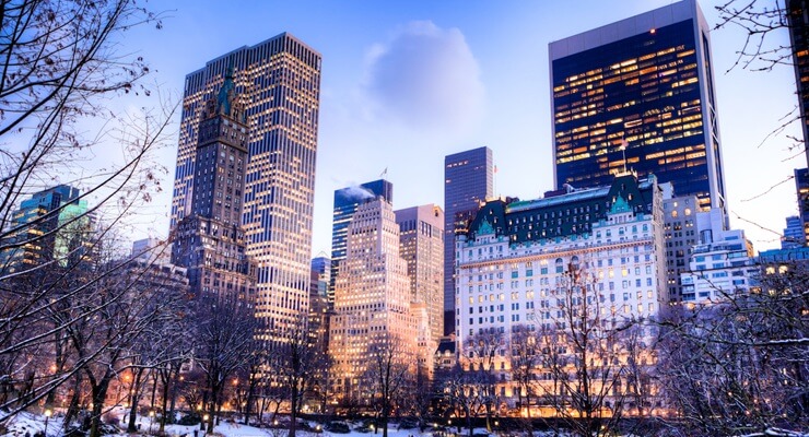 New York Central Park winter