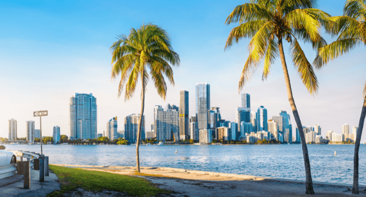 Miami beach with view of palm trees and downtown