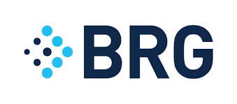 BRG logo Berkeley Research Group