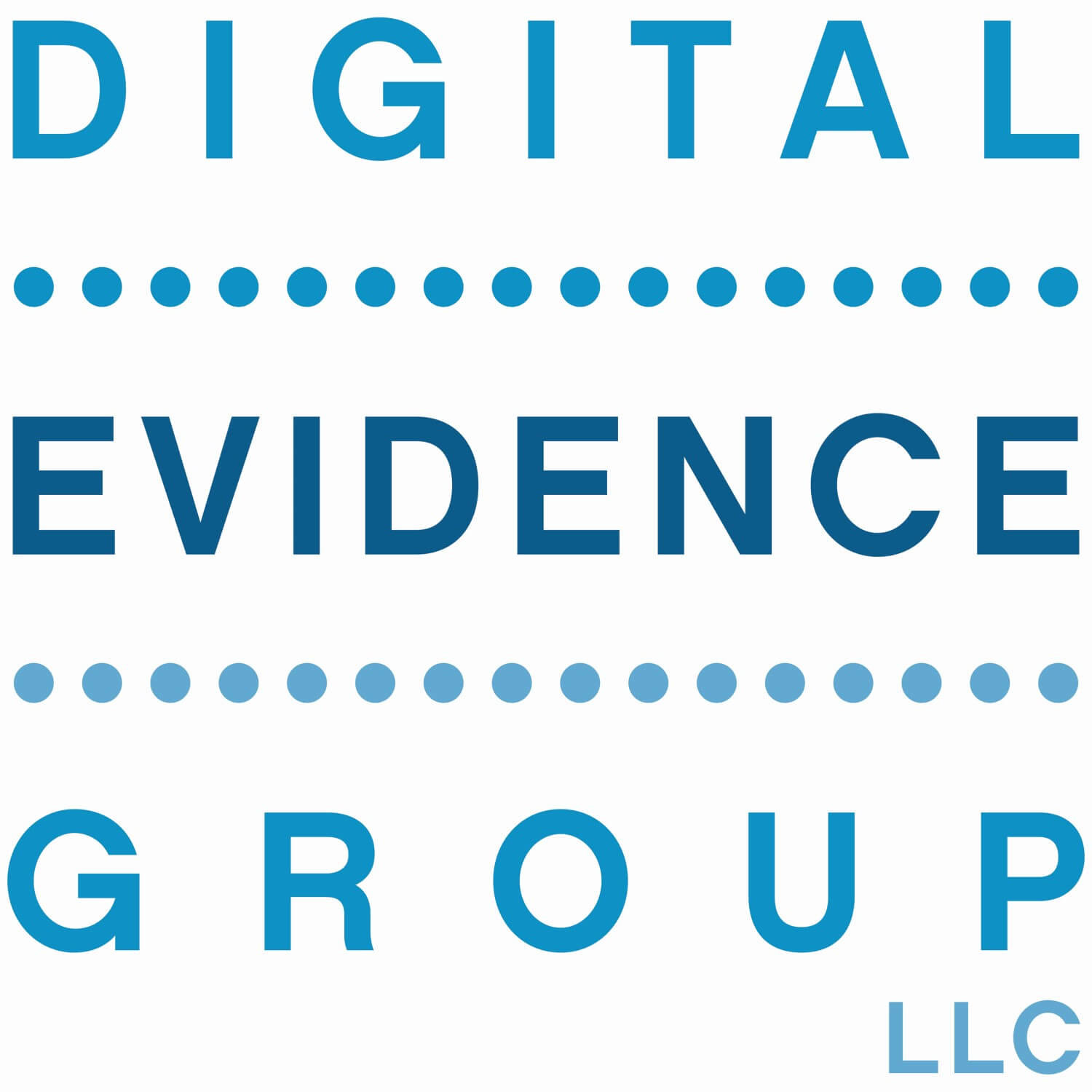 Digital Evidence Group LLC