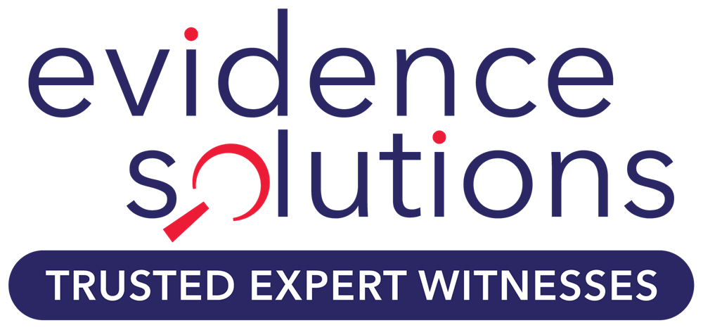 ESI Evidence Solutions Inc magnifying glass icon